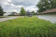 Bettendorf Native Planting