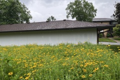 Bettendorf Native Planting
